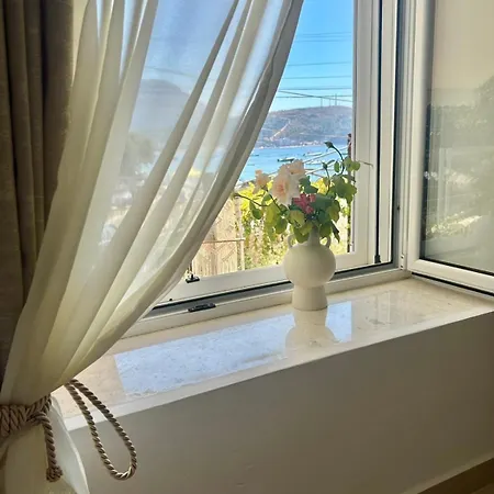 Апартаменты Viktora's House