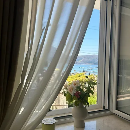 Viktora's House 아파트