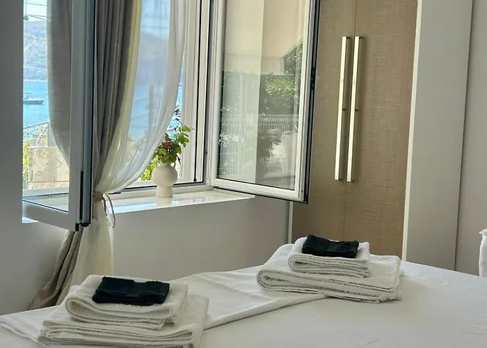 公寓 Viktora's House 希马拉