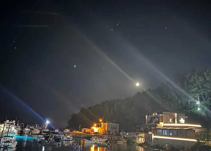 公寓 Viktora's House *