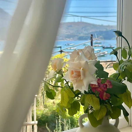 Viktora's House Lägenhet Himare