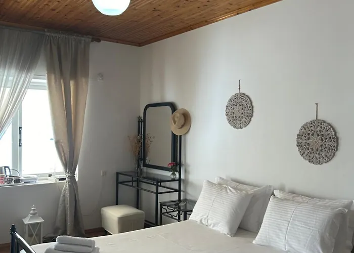 公寓 Viktora's House 希马拉
