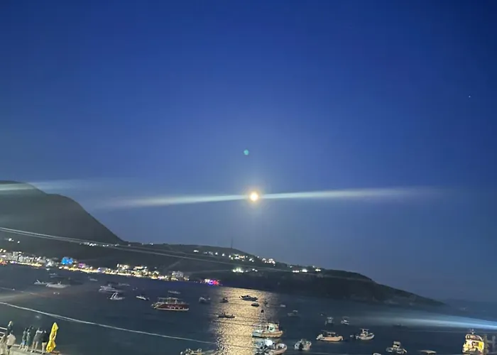 Daire Viktora's House